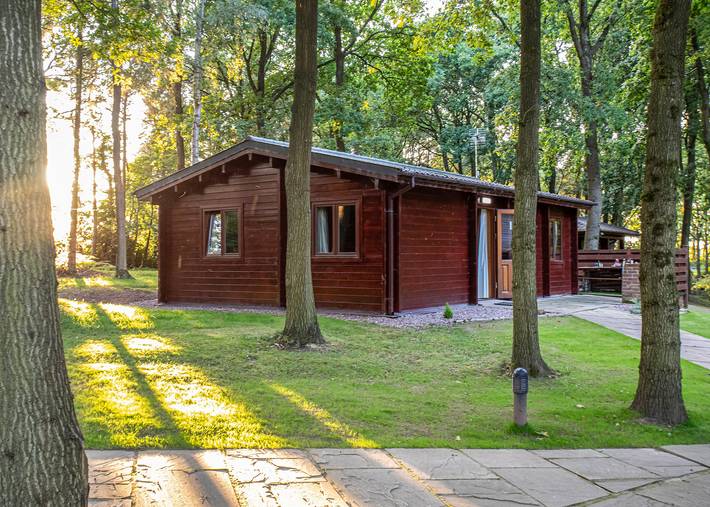 Woodland Beech Lodge in Shropshire
