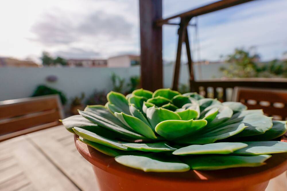 Apartamento entero, Penthouse monoambiente con nivel de terraza, wi fi, aire c., Estacionamiento privado. in Pirri, Cagliari