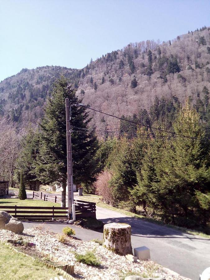Gîte pour 3 personnes, avec jardin et vue, animaux acceptés à Mittlach - 3