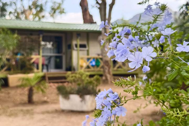 Camping pour 4 personnes, avec terrasse dans Haute-Corse - 3