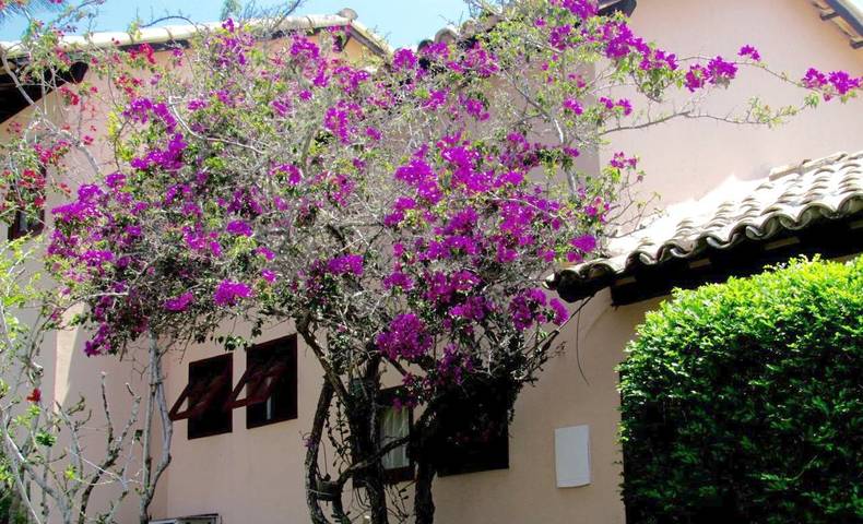 Location de vacances pour 4 personnes, avec piscine ainsi que jardin et vue, animaux acceptés à Arraial do Cabo - 3