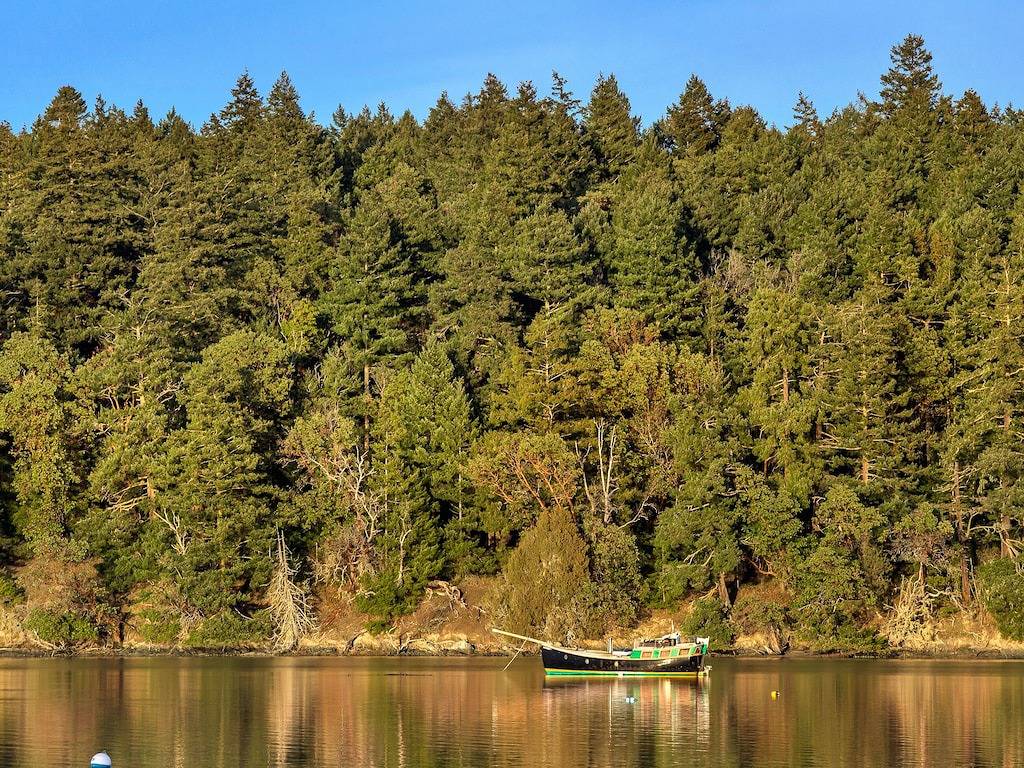 Neue Auflistung! Haustierfreundlich! Gemütlich! Wasserfront Mit Dock! (Gbh) in Roche Harbor, San Juan Island