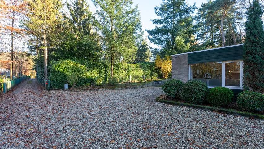 Bungalow voor 3 personen, met terras, met huisdier in Limburg