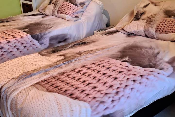 Location de vacances pour 4 personnes, animaux acceptés à Bergerac - 4