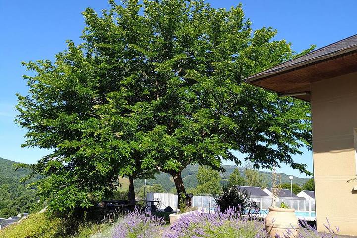 Apartamento entero, 2-Room Apartment Balcony Swimming Pool Village Goélia in Saint-Geniez-d'Olt-et-d'Aubrac, Parc naturel régional de l'Aubrac