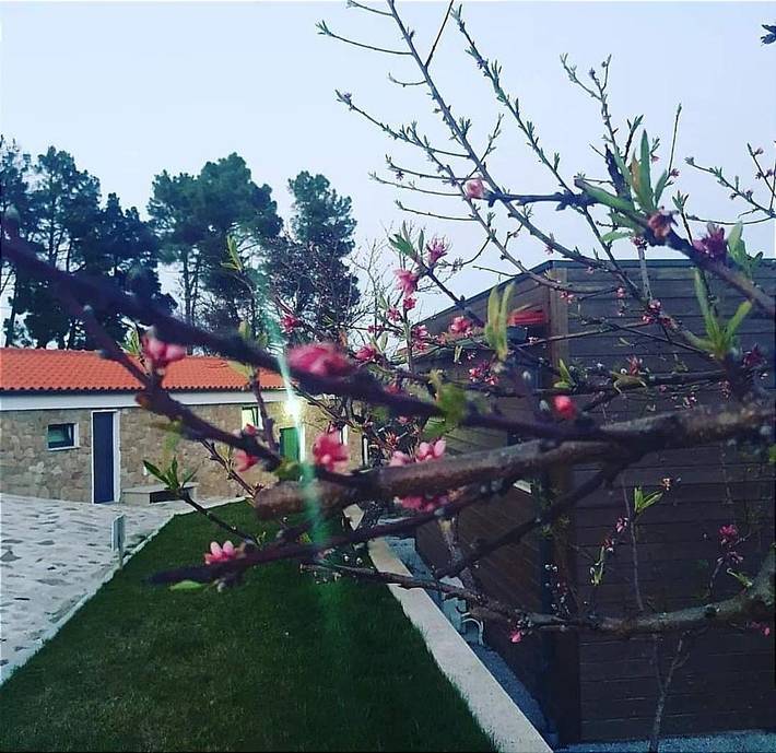 Ferienpark für 4 Personen, mit Balkon und Terrasse sowie Garten und Pool in Portugal - 3