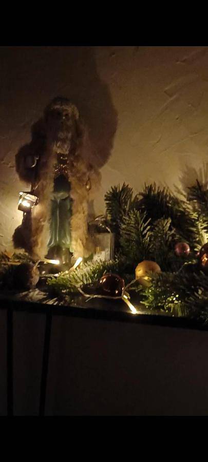 Chambre d’hôte pour 2 personnes, avec terrasse ainsi que jardin et vue dans l' Aude - 2