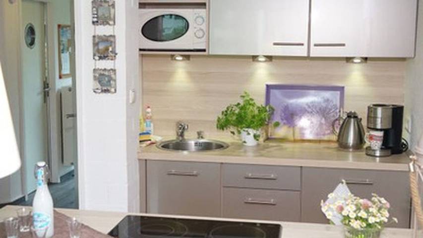 Ferienhaus mit Meerblick für 5 Personen, mit Terrasse und Garten sowie Sauna, mit Haustier in Schlei - 4