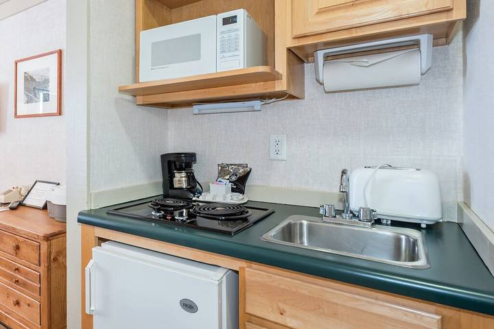 Vacation rental for 3 people, with pets in Telluride