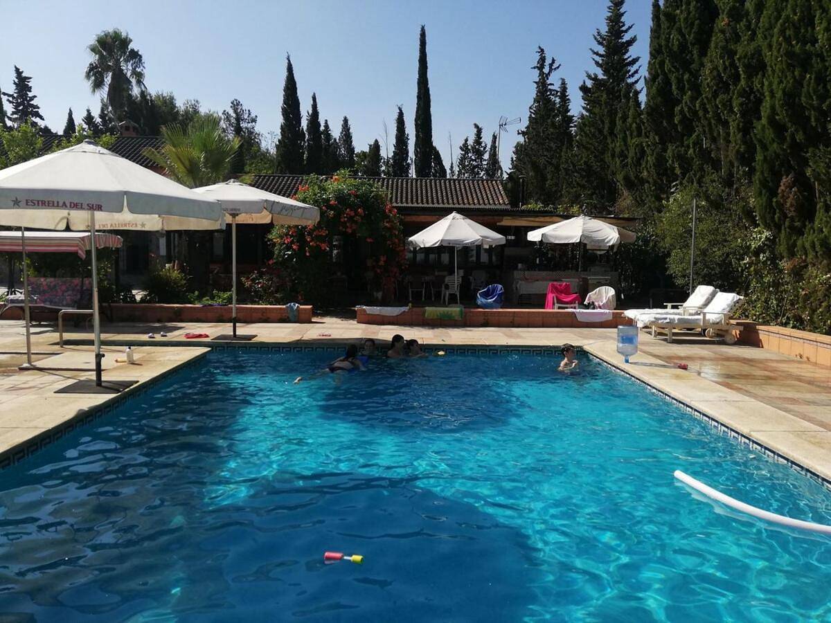 Spacious Garden Villa, private pool, huge grounds with orange trees in Dos Hermanas, Provincia de Sevilla