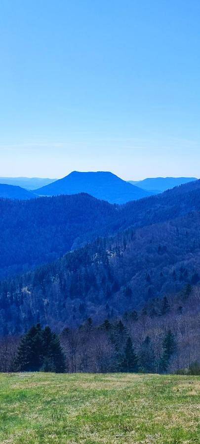 Gîte pour 4 personnes, avec balcon et vue, animaux acceptés à Fouchy - 3