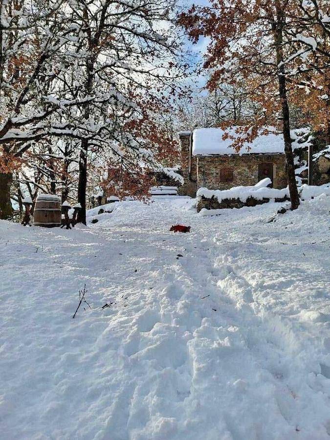 Camping pour 4 personnes, avec vue ainsi que terrasse et jardin dans Parc naturel régional du Haut-Languedoc - 2
