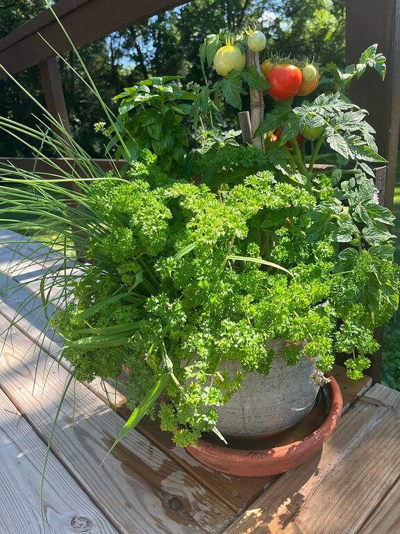 Cozy hideaway on your own corner of our homestead in Lancaster County