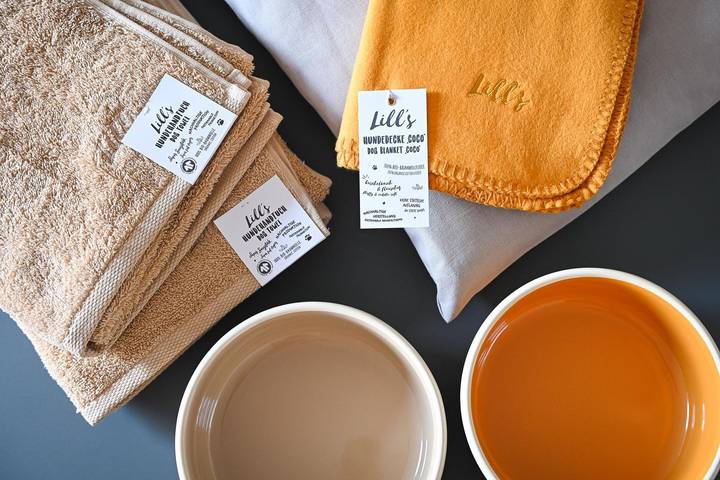 Ferienhaus für 4 Personen, mit Garten und Ausblick sowie Sauna, mit Haustier im Harz - 4