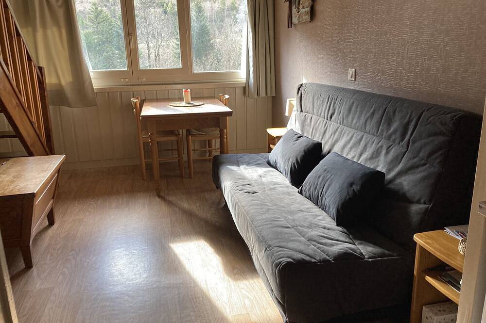 Apartamento entero, Residence Bec de l'Aigle N°30 in Le Lioran, Laveissière