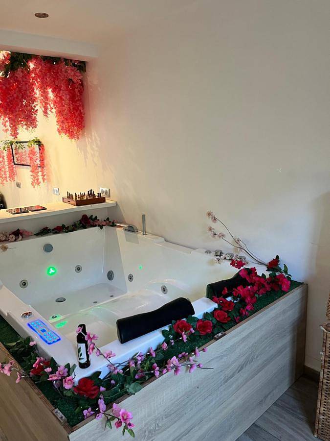 Gîte pour 2 personnes, avec terrasse et jacuzzi à Bouafle - 3