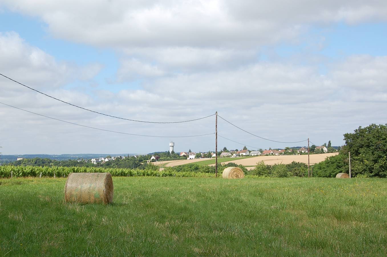La Bergerie - Domaine Les Drageonnières in Montrichard, Région de Blois