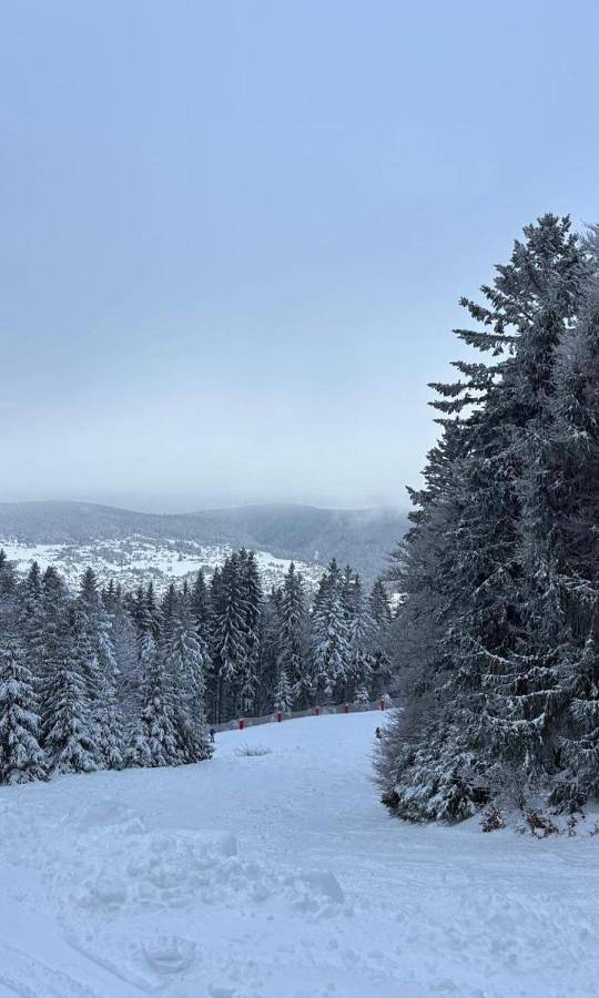 Villa pour 6 personnes, avec jardin ainsi que piscine et vue, animaux acceptés dans les Vosges - 2