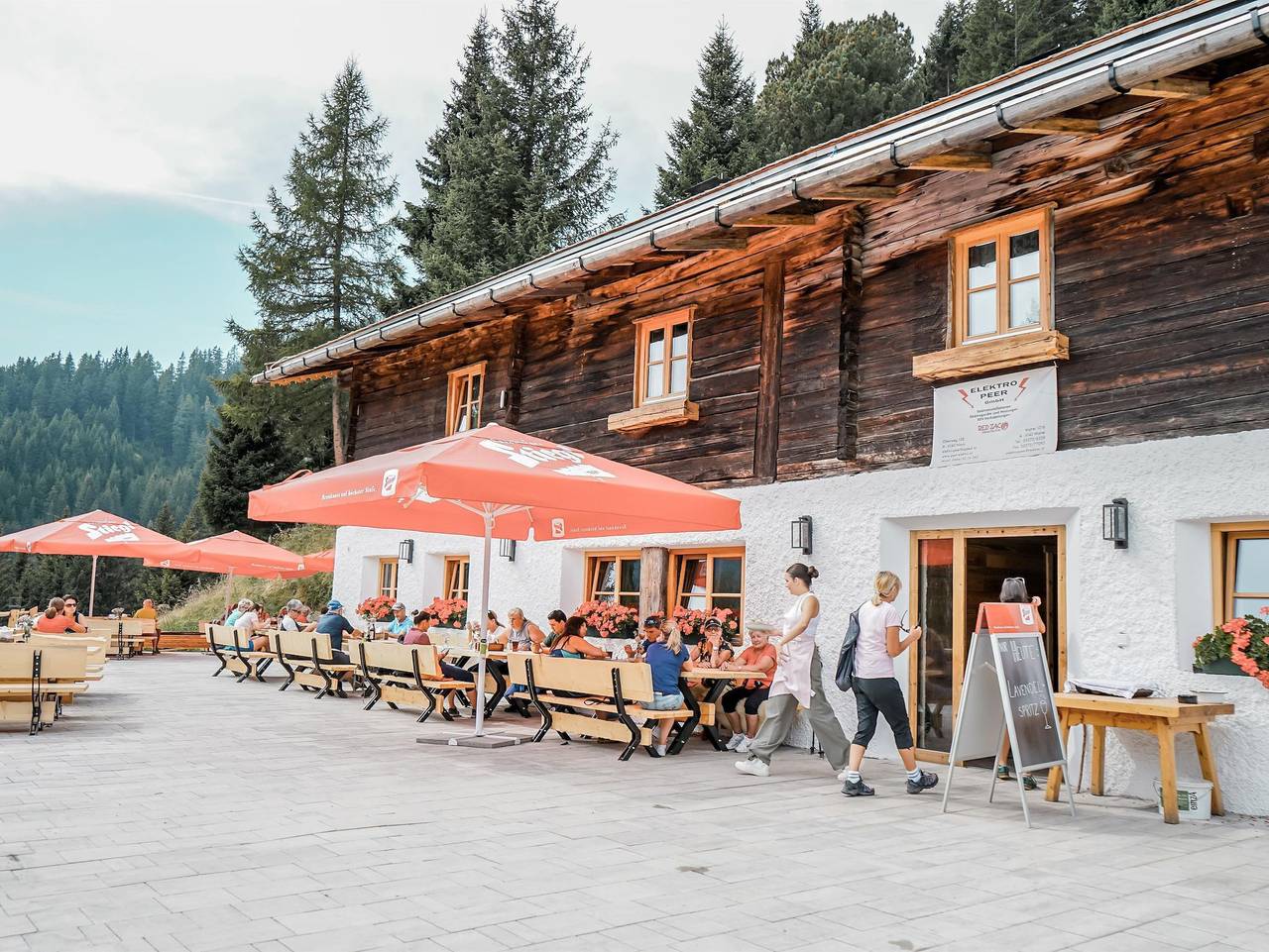 Peer Alm - Arnika in Tuxer Alpen, Navis