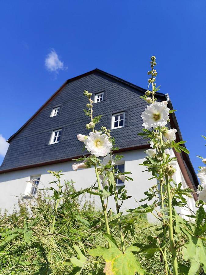 Ferienhaus für 6 Personen, mit Terrasse und Garten sowie Ausblick in Grenderich