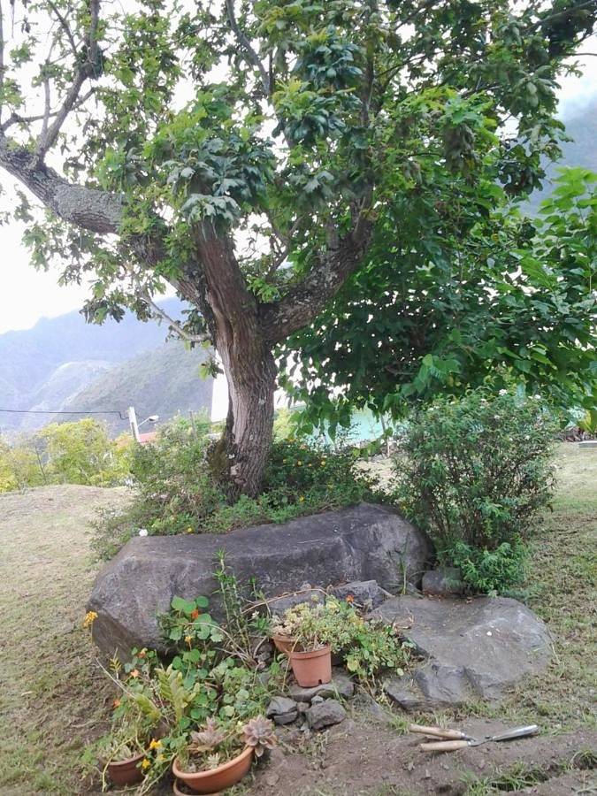 Location de vacances pour 4 personnes, avec jardin et vue dans La Mare à Joncs - 4