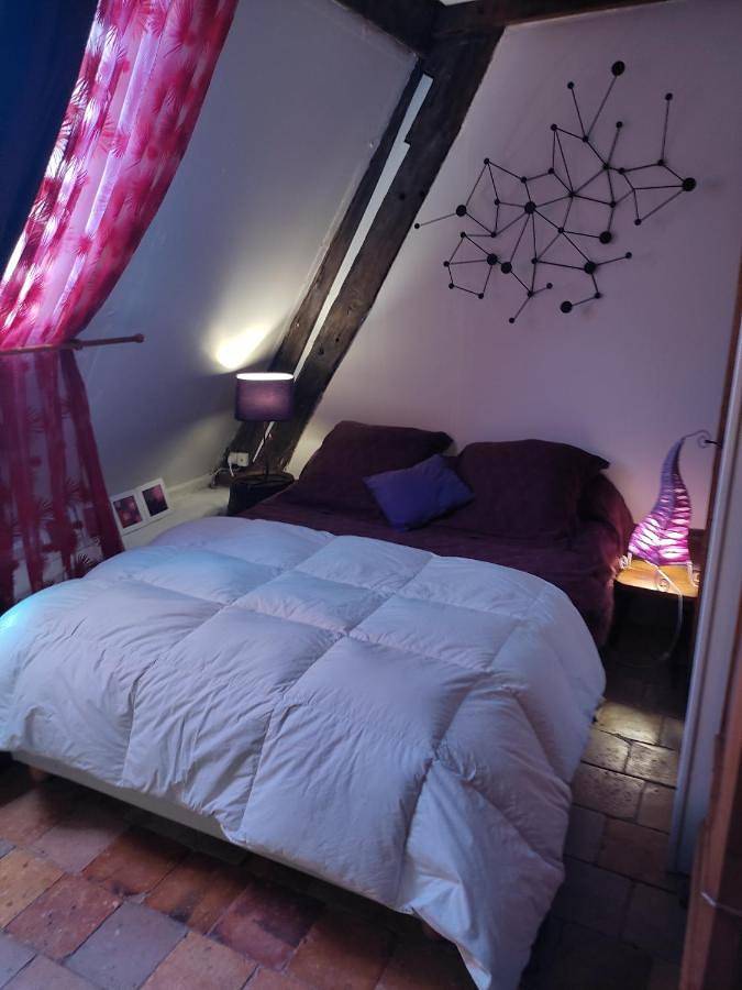 Location de vacances pour 10 personnes, avec jardin à Condé-sur-Huisne