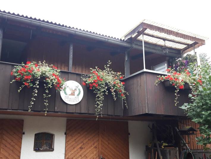 Ferienwohnung für 3 Personen, mit Balkon und Terrasse in Thale - 2