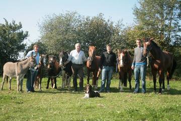 Bauernhof für 4 Personen in Brodersby, Ostsee Schleswig-Holstein, Bild 4