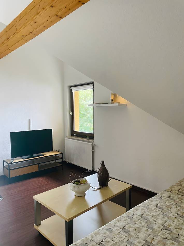 Ganze Wohnung, Ferienwohnung Gaßmann" mit Gemeinschaftsgarten, Balkon und Wi-Fi in Wingerode, Region Eichsfeld