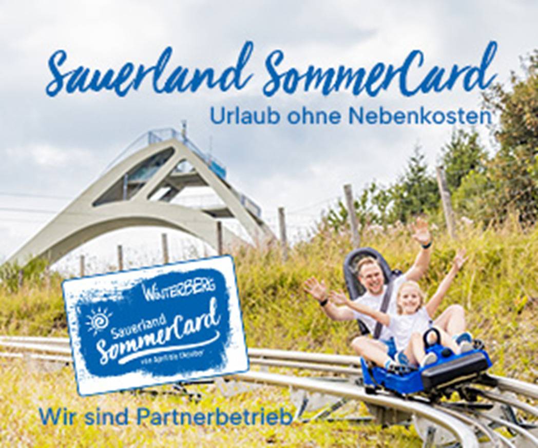 Ferienhaus Orkeklause - Ferienhaus 100 m2, mit Kamin, gr. Terrasse, Berg- und Seeblick in Elkeringhausen, Winterberg