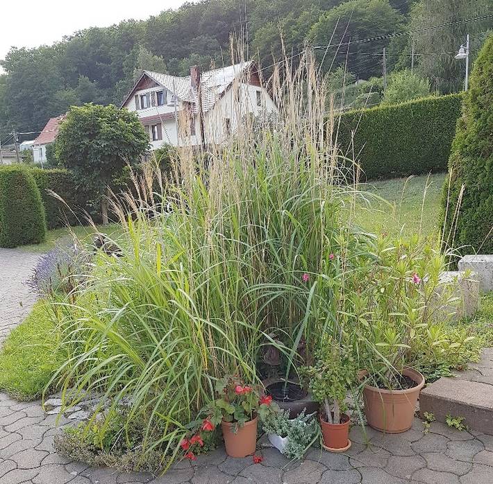 Ganze Ferienwohnung, Ferienwohnung am Rennsteig bei Eisenach - Fw mit Wohnzimmer, Schlafzimmer mit Boxspringbett und Dusche/Wc, E-Ladestation in Wartburg, Wolfsburg-Unkeroda