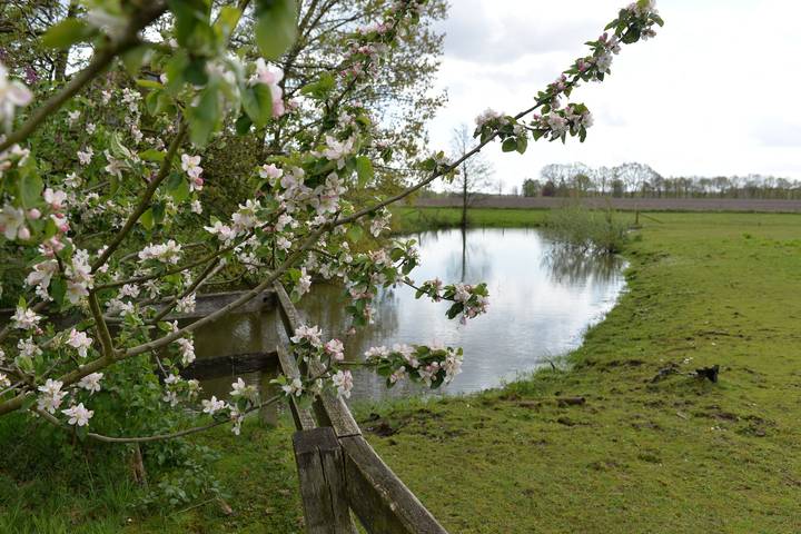 Ferienwohnung für 2 Personen, mit Sauna und Garten sowie Terrasse in Hasetal - 2