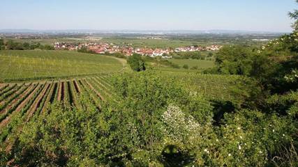Ferienwohnung für 4 Personen, mit Garten in Bad Dürkheim