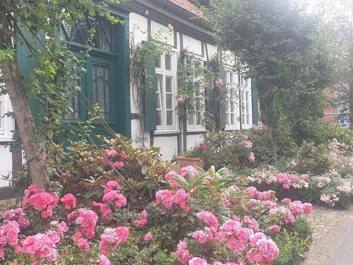 Ferienwohnung für 4 Personen, mit Terrasse und Garten in Halle (Westfalen)