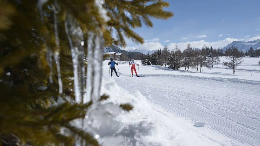 Location de vacances pour 9 personnes, avec vue et terrasse, animaux acceptés à Fiesch - 2