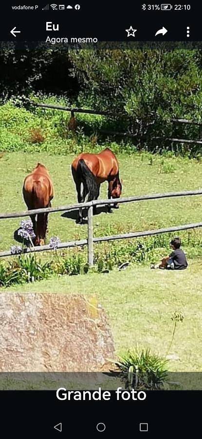 Location de vacances pour 4 personnes, avec jardin et vue à Praia de Mira - 3