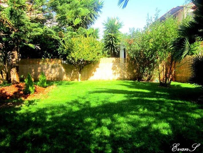 Maison d’hôte pour 2 personnes, avec balcon et jardin dans Skiathos - 4