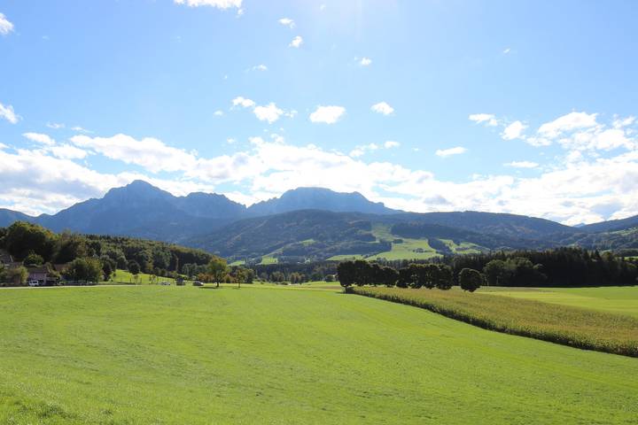 Ganze Ferienwohnung, Ferienwohnung Alpenblick in Anger - Ferienwohnung Alpenblick 50qm, 1 Schlafzimmer, Kamin, Balkon in Anger, Bayerische Alpen