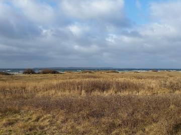 Ferieudlejning til 8 Personer i Øerne, Ebeltoft, Billede 4