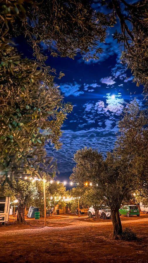 Bungalow für 3 Personen, mit Garten, mit Haustier in der Türkei - 4