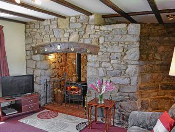 Log Cabin for 5 People in South-Wales, Swansea region, Photo 2