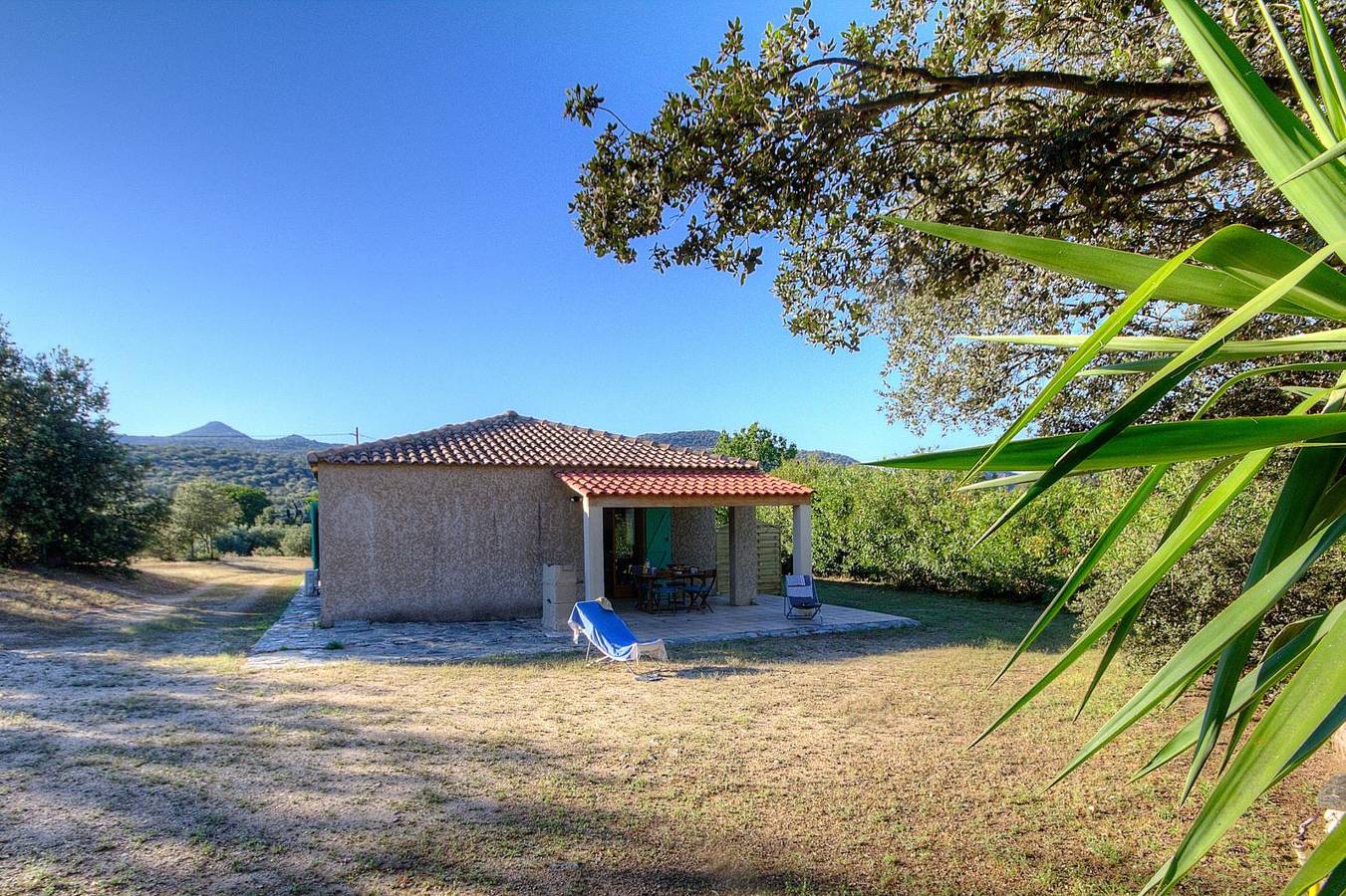 A Macchja in Speloncato, Calvi und Umgebung