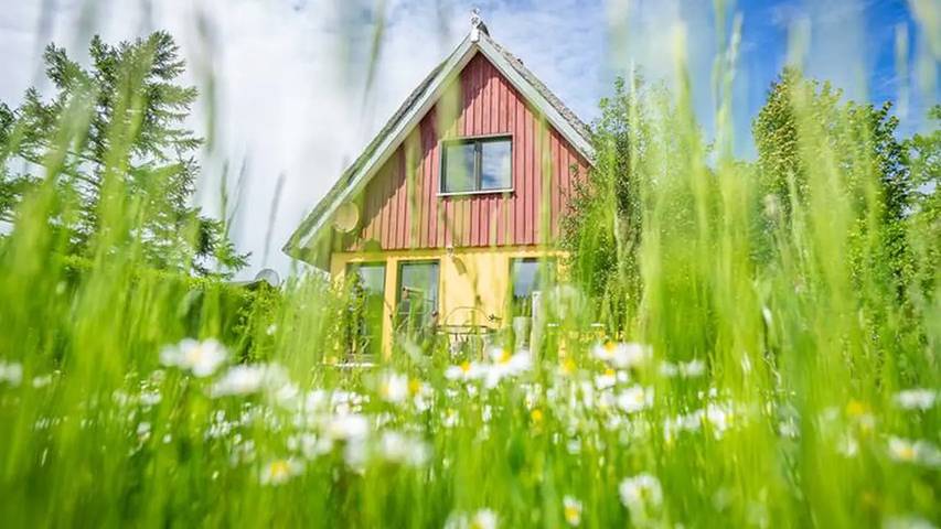 Ferienhaus für 4 Personen, mit Terrasse und Garten sowie Sauna auf Fischland - Darß - Zingst - 2