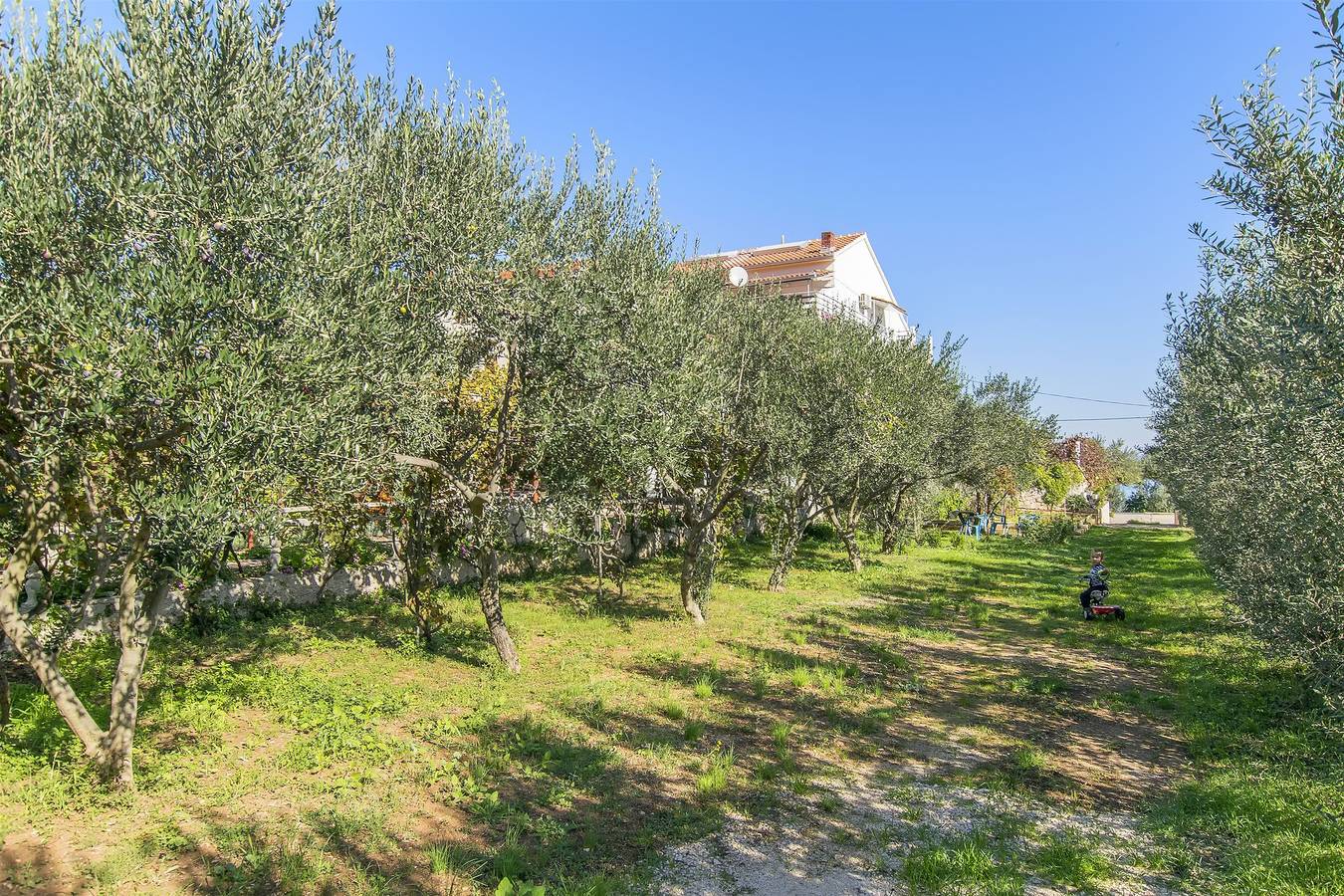 Ganze Wohnung, Apartments Irena in Tkon, Pasman