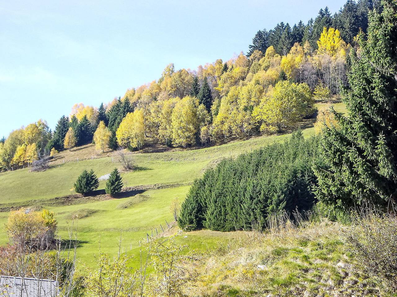 Ganze Wohnung, Encarden Apt. 3.1 - Encarden Apt. 3.1 450.3 in Disentis, Surselva