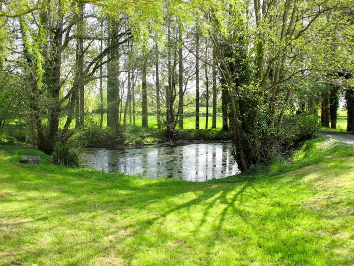 Maison de vacances pour 3 personnes, avec terrasse et jardin, animaux acceptés dans Cotentin