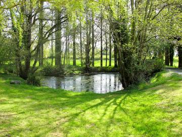 Gîte pour 3 personnes, avec terrasse et jardin, animaux acceptés à Savigny (Normandie)