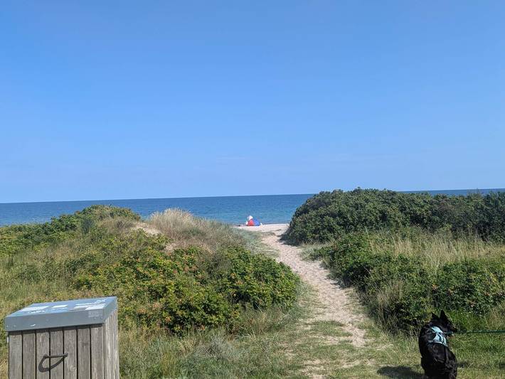Ferienhaus für 6 Personen, mit Terrasse, mit Haustier in Gedesby - 4