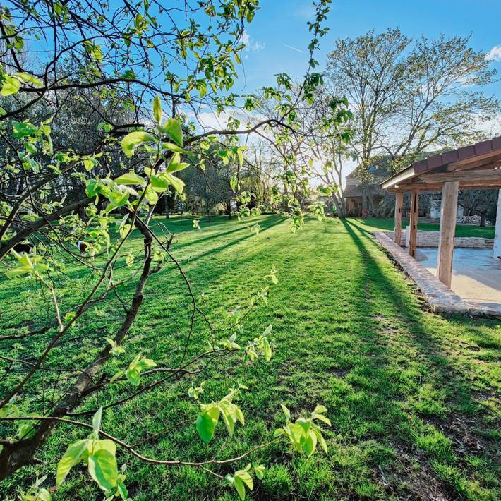 Gîte pour 6 personnes, avec jardin et terrasse, animaux acceptés à Saint-Loup-Géanges - 2