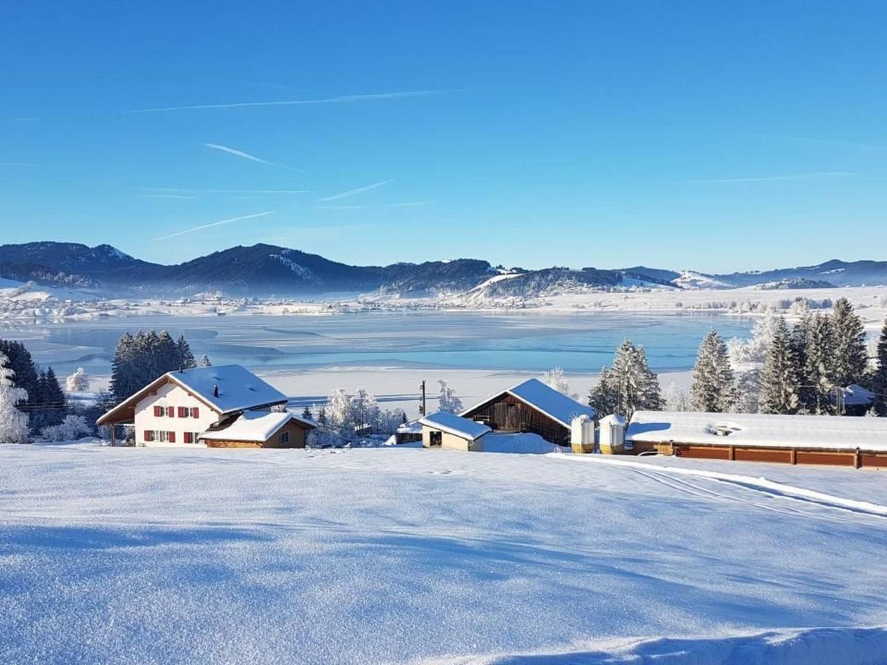 Entire apartment, Biohof Tanngarten in Einsiedeln, Lucerne / Lake of Four Cantons